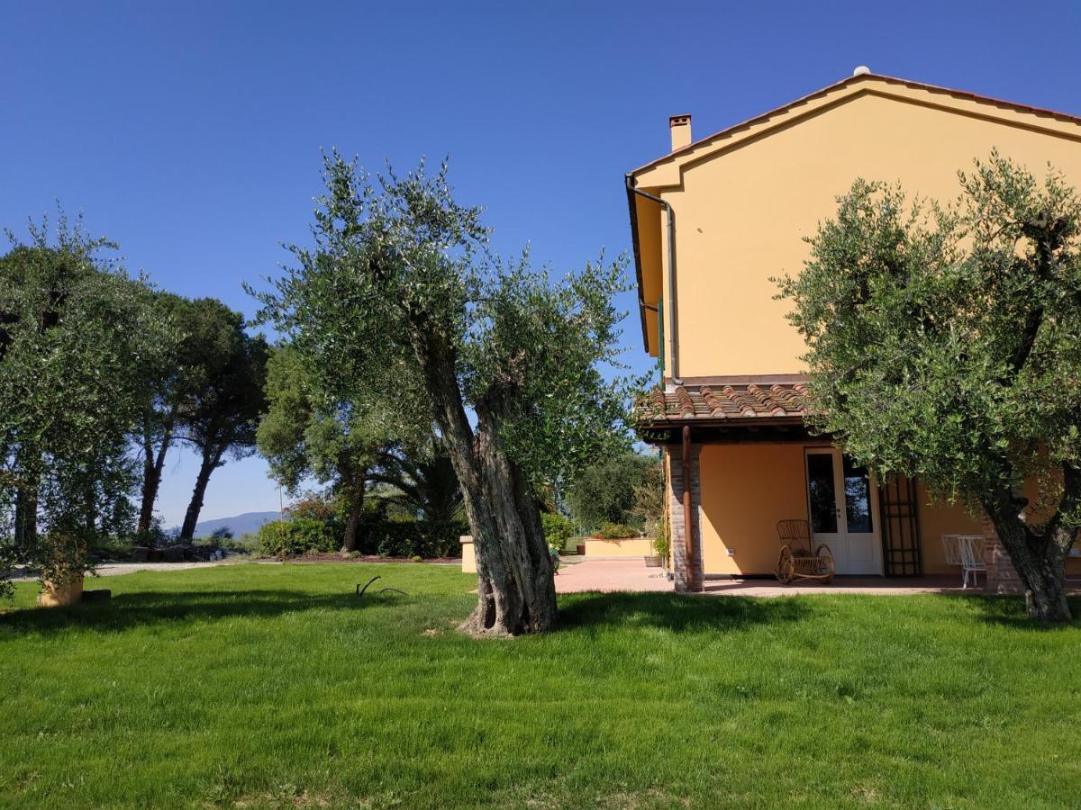 B&B La Casetta Montecarlo Bagian luar foto