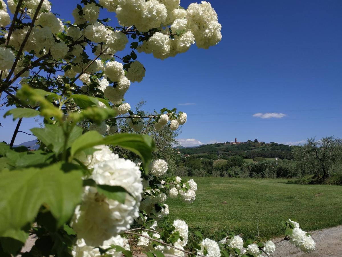 B&B La Casetta Montecarlo Bagian luar foto
